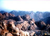 Mt.Sinai
